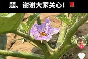 加纳乔本场数据：2次射门均射偏，7次对抗1次成功，评分6.3分