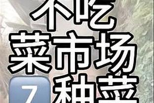 效率超高！卡佩拉11中8得到20分12板1助2帽